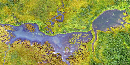 wetlands ramsar wetland list biodiversity natural habitat architecture and nature cultural architecture natural conservation nature conservation wetlands