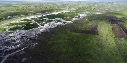 wetlands freshwater consumption wetland breed management environmental environment degradation wetlands general public wetland wetlands fueled changes environmental architecture and conservation