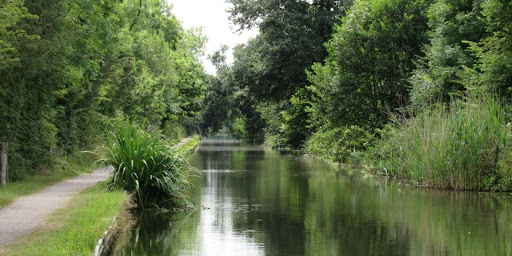 tame valley united kingdom river tame minerals extraction gravel transportation gravel transport routes habitats species